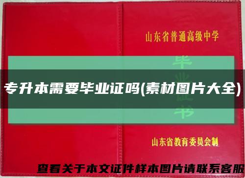 专升本需要毕业证吗(素材图片大全)缩略图