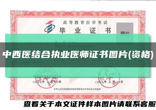 中西医结合执业医师证书图片(资格)缩略图