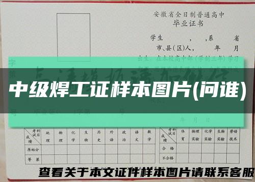 中级焊工证样本图片(问谁)缩略图