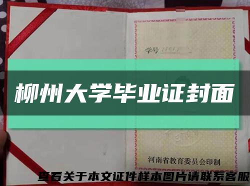 柳州大学毕业证封面缩略图