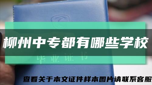 柳州中专都有哪些学校缩略图