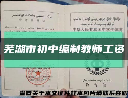 芜湖市初中编制教师工资缩略图