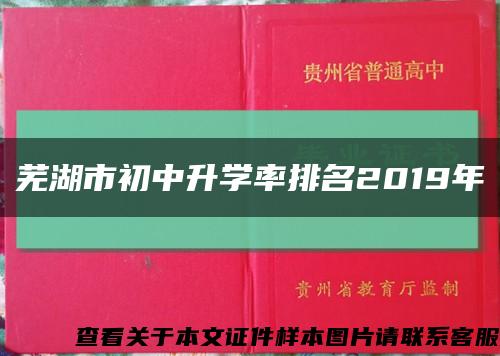 芜湖市初中升学率排名2019年缩略图