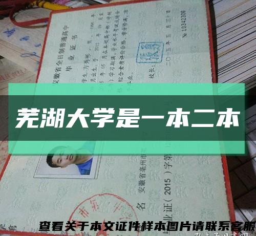芜湖大学是一本二本缩略图
