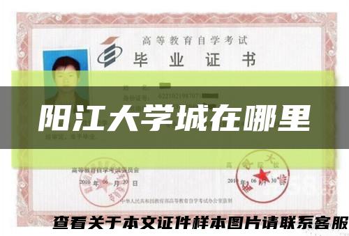 阳江大学城在哪里缩略图