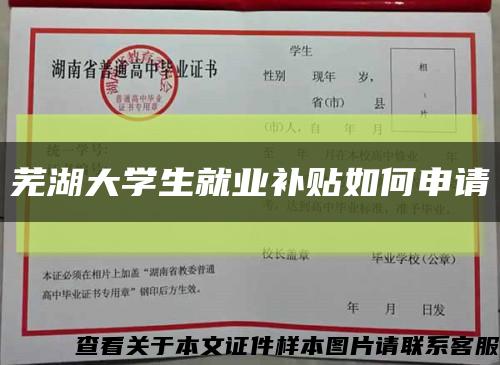 芜湖大学生就业补贴如何申请缩略图