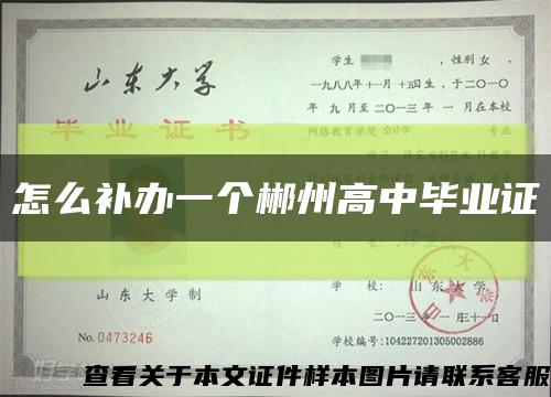 怎么补办一个郴州高中毕业证缩略图