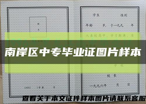 南岸区中专毕业证图片样本缩略图