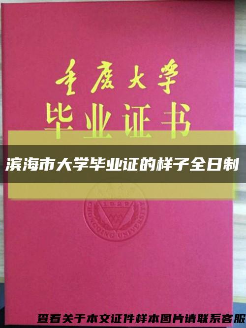 滨海市大学毕业证的样子全日制缩略图