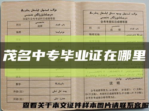 茂名中专毕业证在哪里缩略图