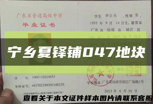 宁乡夏铎铺047地块缩略图