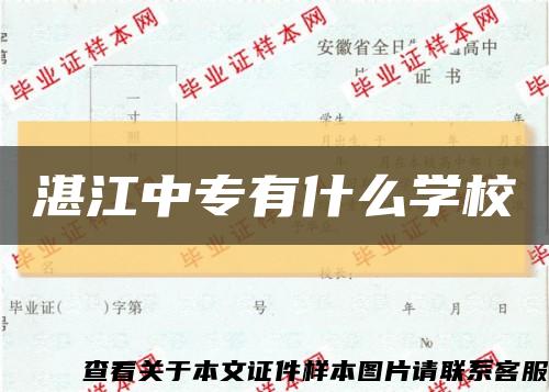 湛江中专有什么学校缩略图