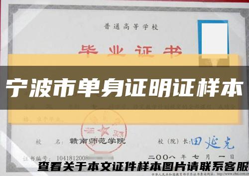 宁波市单身证明证样本缩略图