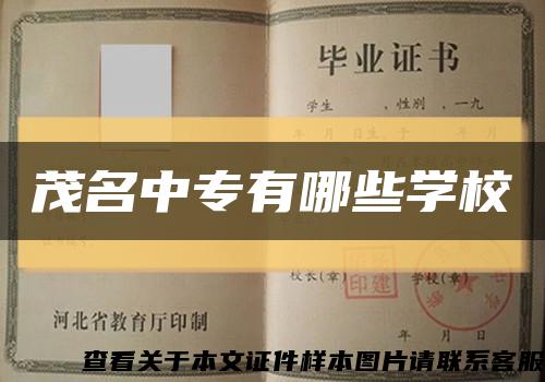 茂名中专有哪些学校缩略图