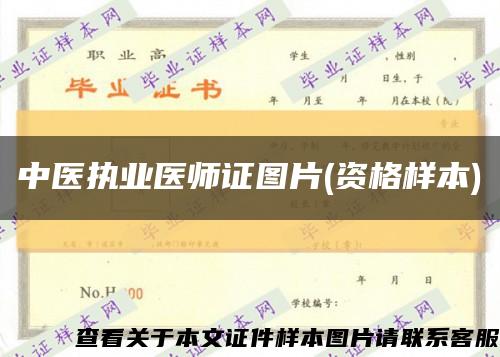 中医执业医师证图片(资格样本)缩略图