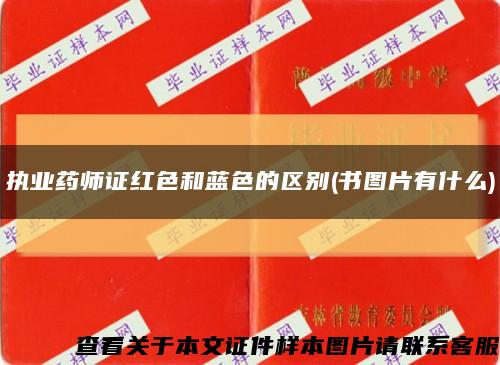 执业药师证红色和蓝色的区别(书图片有什么)缩略图