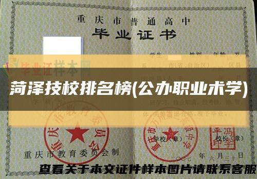 菏泽技校排名榜(公办职业术学)缩略图