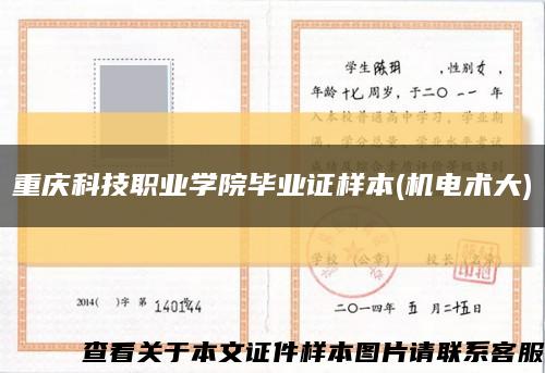 重庆科技职业学院毕业证样本(机电术大)缩略图