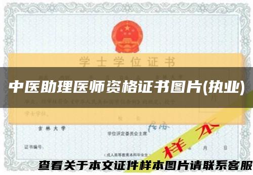 中医助理医师资格证书图片(执业)缩略图