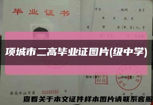 项城市二高毕业证图片(级中学)缩略图