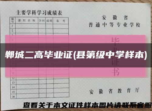 郸城二高毕业证(县第级中学样本)缩略图