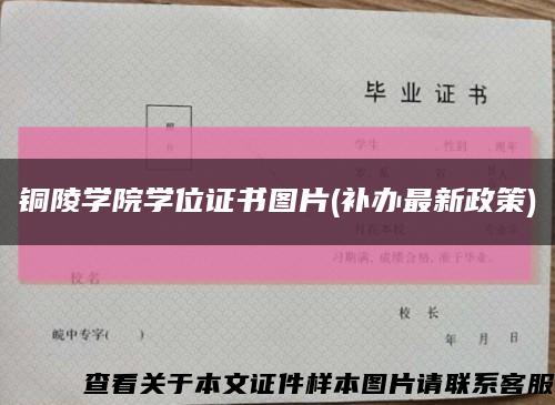 铜陵学院学位证书图片(补办最新政策)缩略图