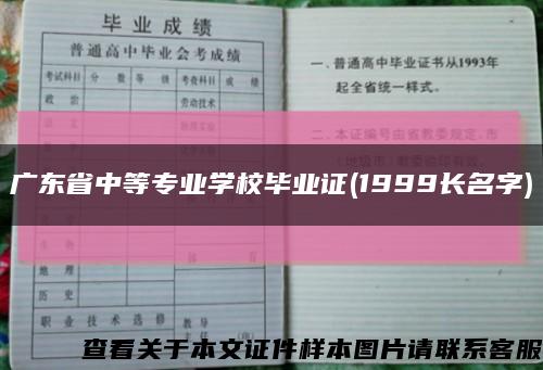 广东省中等专业学校毕业证(1999长名字)缩略图