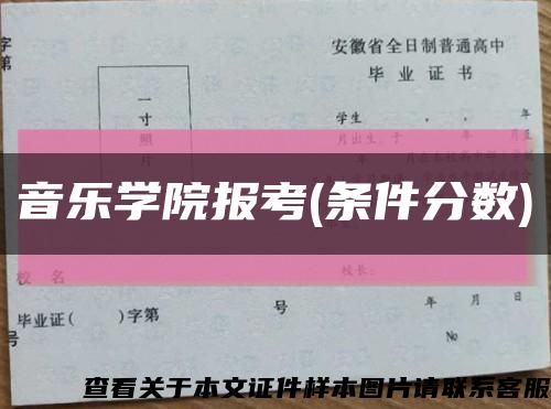音乐学院报考(条件分数)缩略图