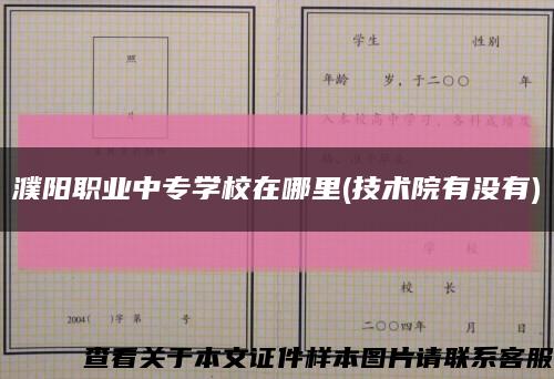 濮阳职业中专学校在哪里(技术院有没有)缩略图