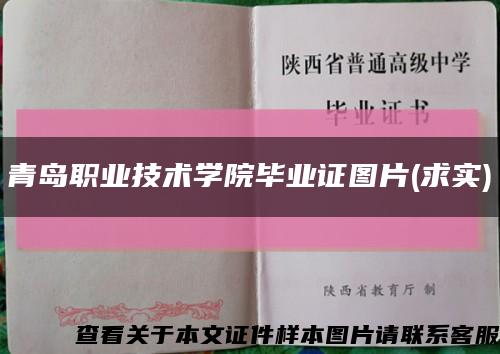 青岛职业技术学院毕业证图片(求实)缩略图