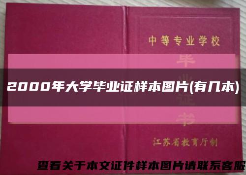 2000年大学毕业证样本图片(有几本)缩略图