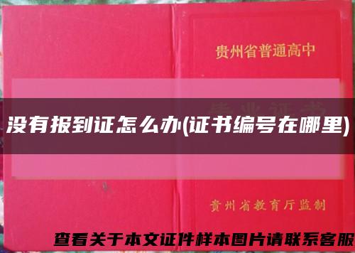没有报到证怎么办(证书编号在哪里)缩略图