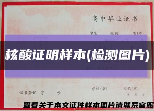 核酸证明样本(检测图片)缩略图