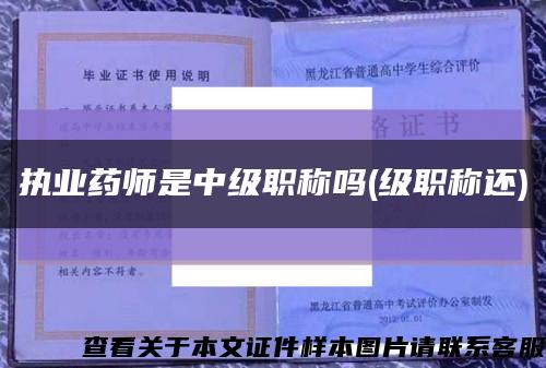 执业药师是中级职称吗(级职称还)缩略图