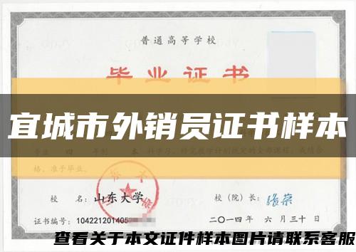 宜城市外销员证书样本缩略图