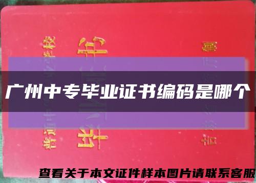 广州中专毕业证书编码是哪个缩略图