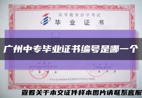 广州中专毕业证书编号是哪一个缩略图