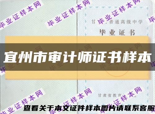 宜州市审计师证书样本缩略图
