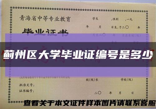 蓟州区大学毕业证编号是多少缩略图
