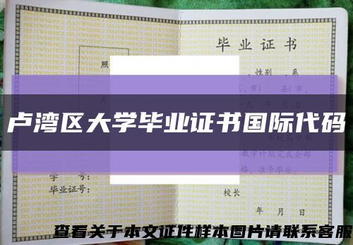 卢湾区大学毕业证书国际代码缩略图
