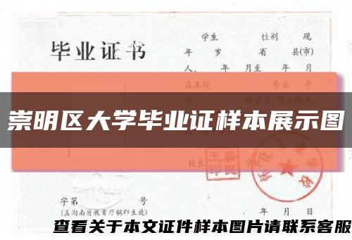 崇明区大学毕业证样本展示图缩略图