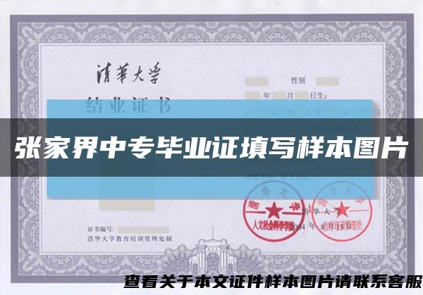 张家界中专毕业证填写样本图片缩略图