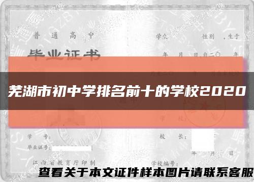 芜湖市初中学排名前十的学校2020缩略图