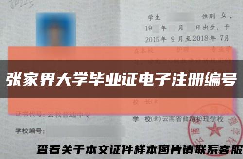 张家界大学毕业证电子注册编号缩略图