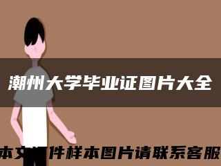 潮州大学毕业证图片大全缩略图