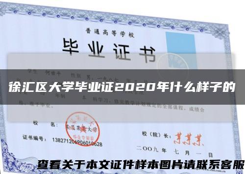 徐汇区大学毕业证2020年什么样子的缩略图