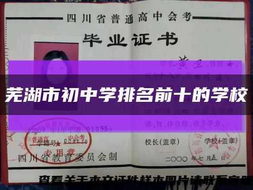 芜湖市初中学排名前十的学校缩略图