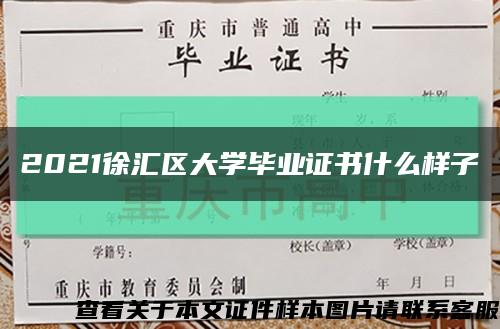 2021徐汇区大学毕业证书什么样子缩略图