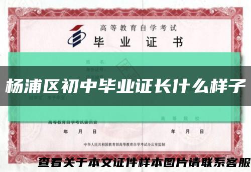 杨浦区初中毕业证长什么样子缩略图