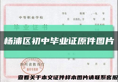 杨浦区初中毕业证原件图片缩略图